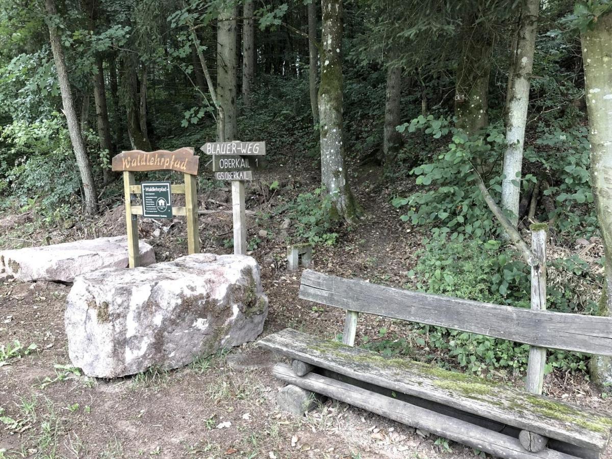 Eifel Ferienhaus Anne Villa Oberkail Buitenkant foto